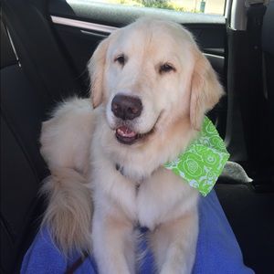 Meet your Posher, Katelyn